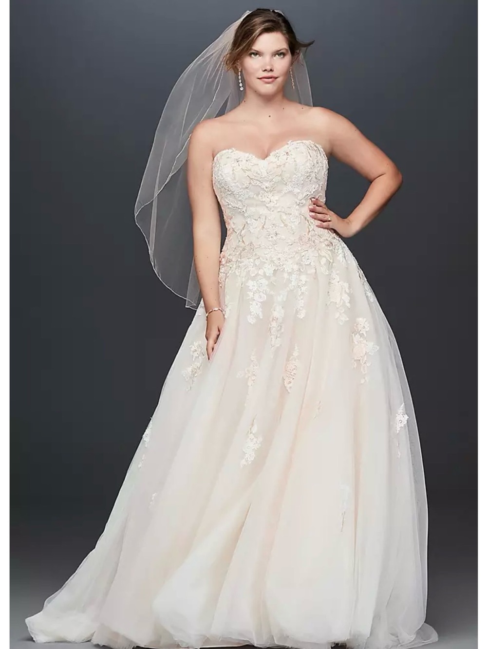 Strapless Lace Appliqué A-Line Wedding Dress in Ivory New Size 16W
